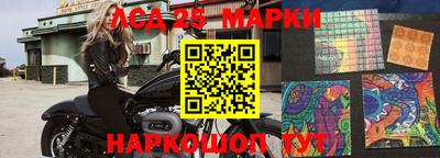 индика Жуковский