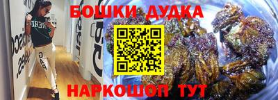 индика Жуковский