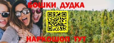 индика Жуковский