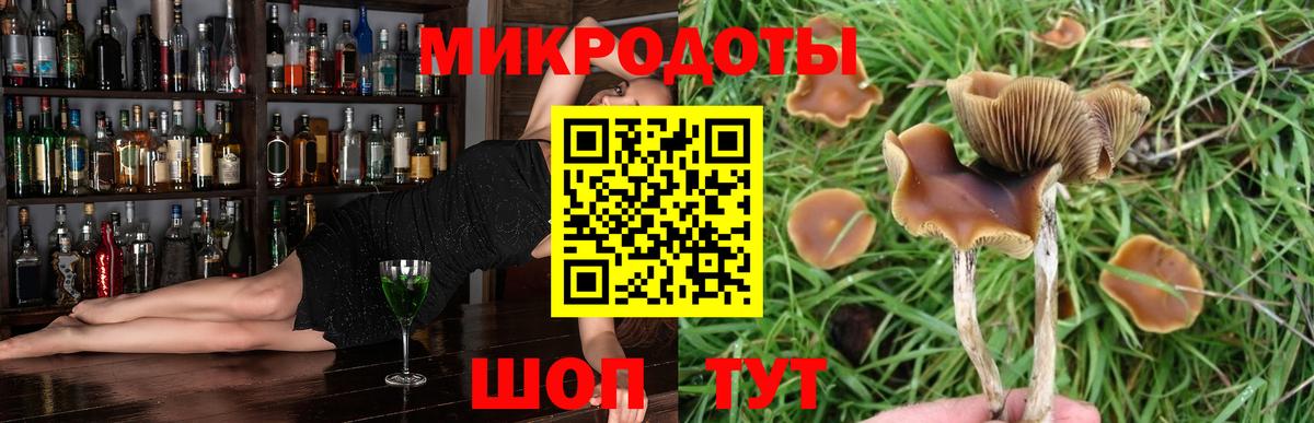 Мирный  Псилоцибиновые грибы MAGIC MUSHROOMS  Вход с VPN 